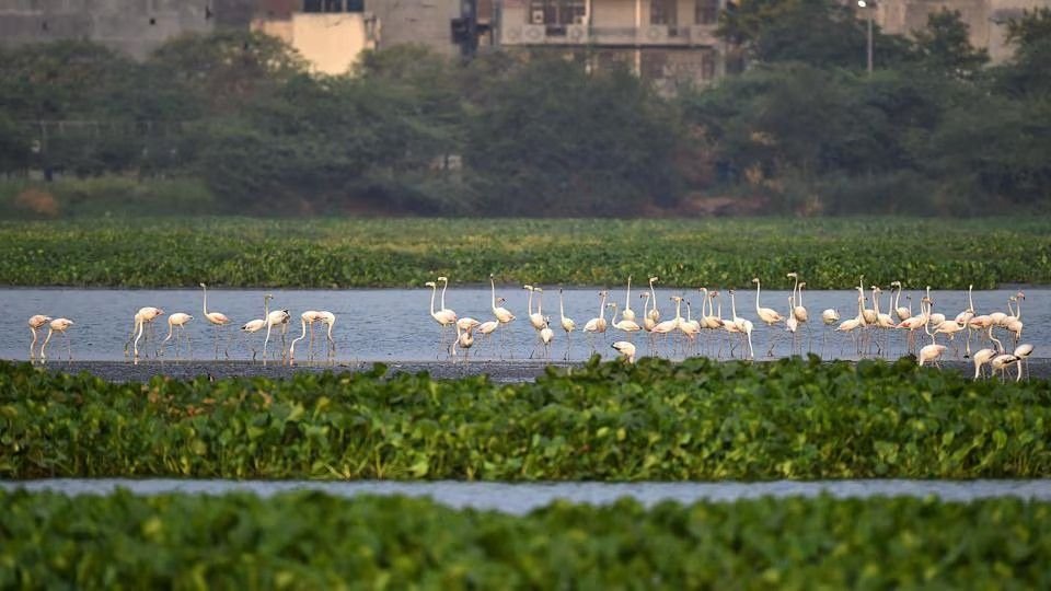 Places to Visit in Delhi NCR