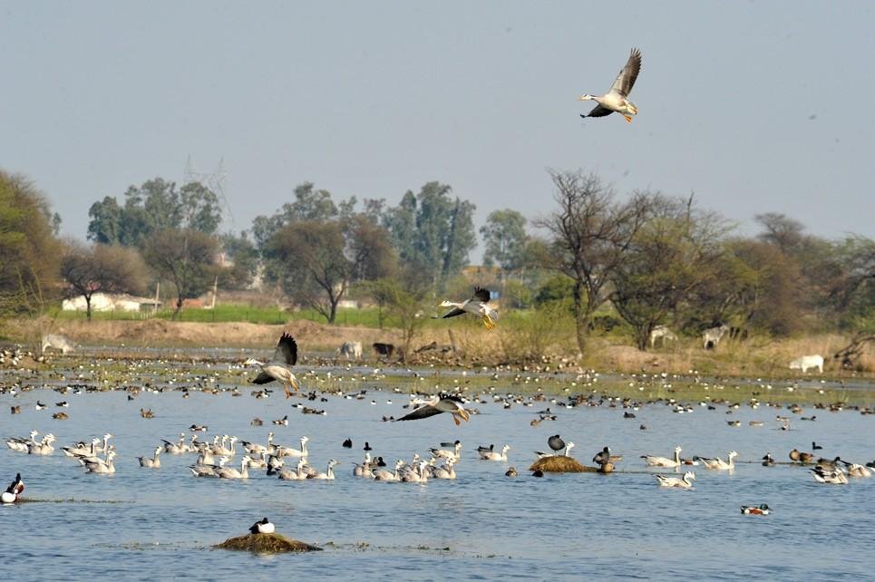 Places to Visit in Delhi NCR