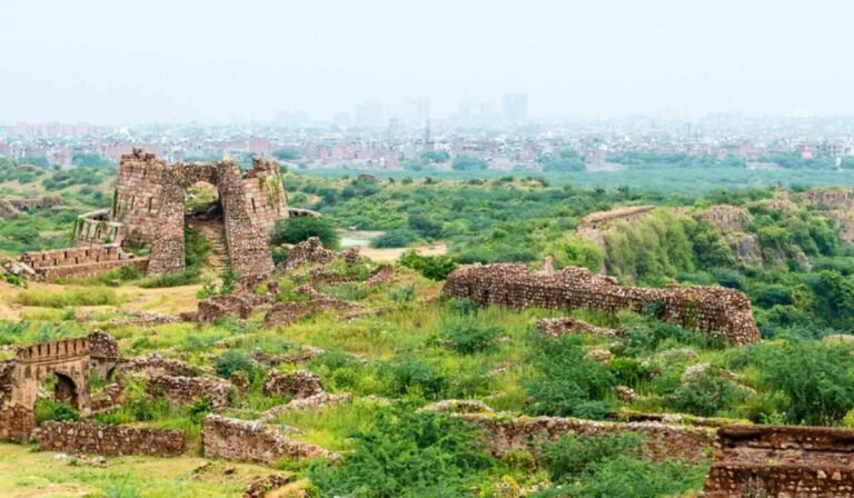 Top Nature Places to Visit in Delhi NCR for Peace in 2025